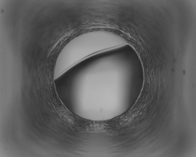 X0000087631351200705030717