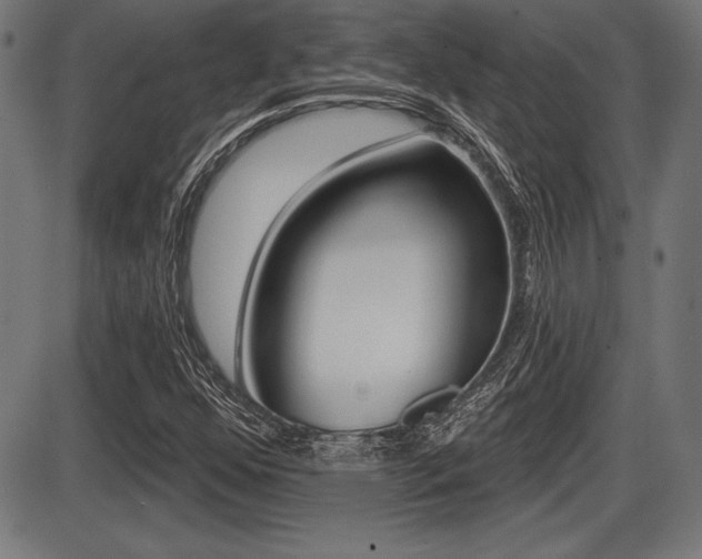 X0000087631352200705030717