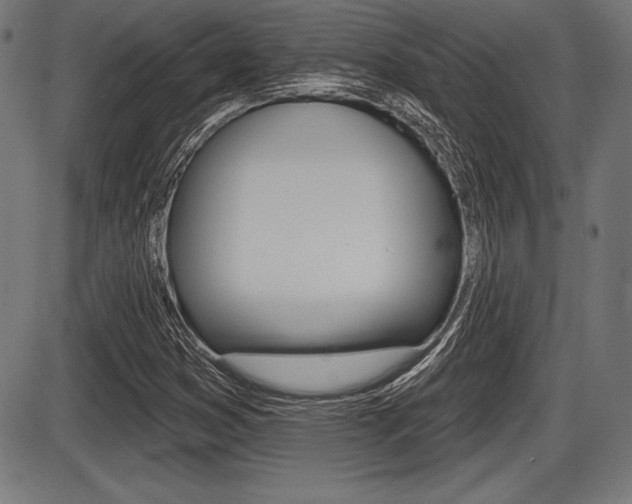 X0000087631353200705030717