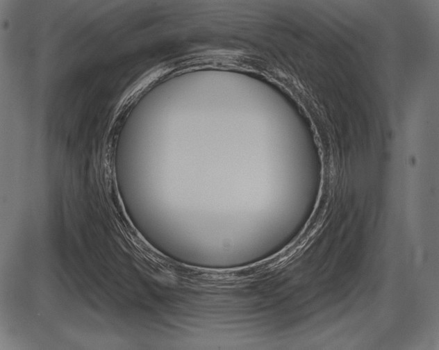 X0000087631354200705030717