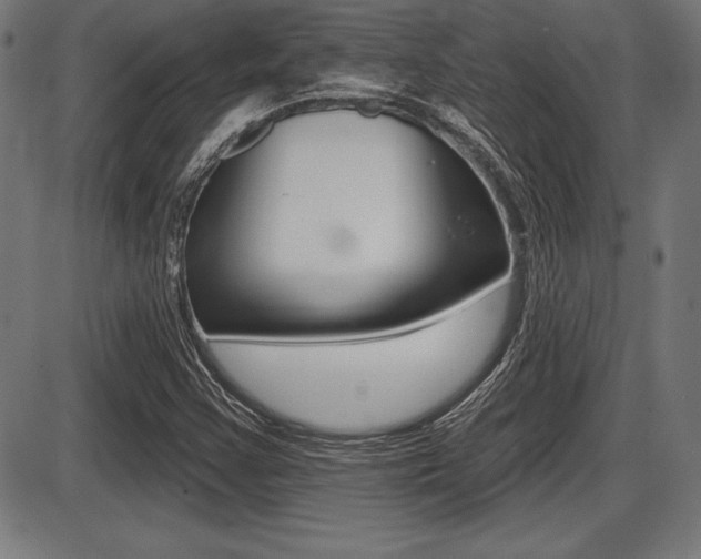 X0000087631355200705030717