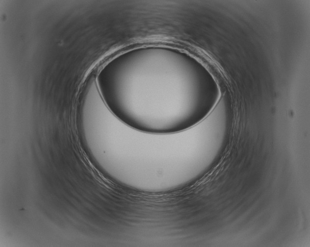 X0000087631356200705030717