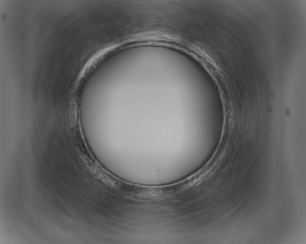 X0000087631358200705030717