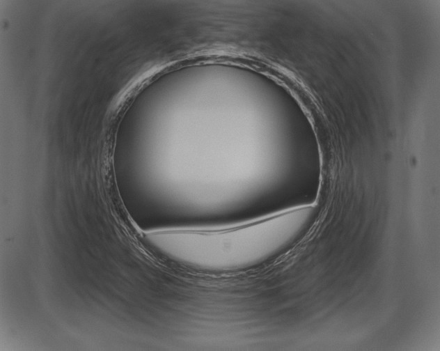 X0000087631359200705030717