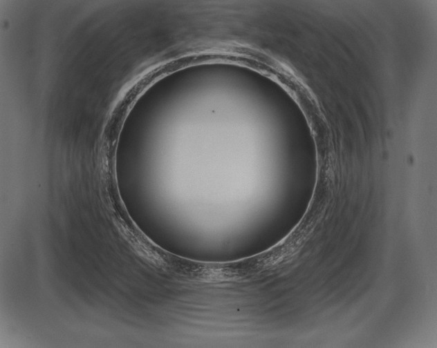X0000087631360200705030717
