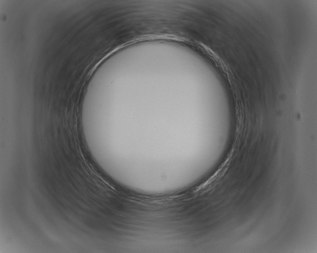 X0000087631361200705030717