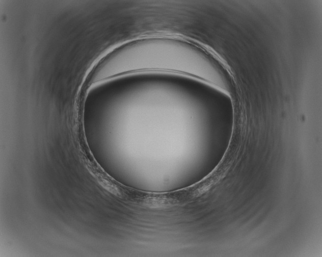 X0000087631364200705030717