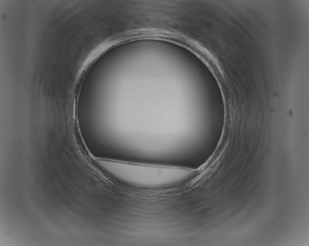X0000087631365200705030717