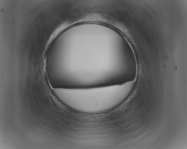 X0000087631366200705030717
