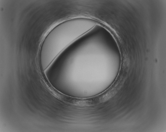 X0000087631367200705030717