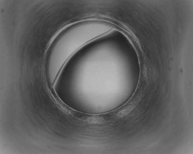 X0000087631368200705030716