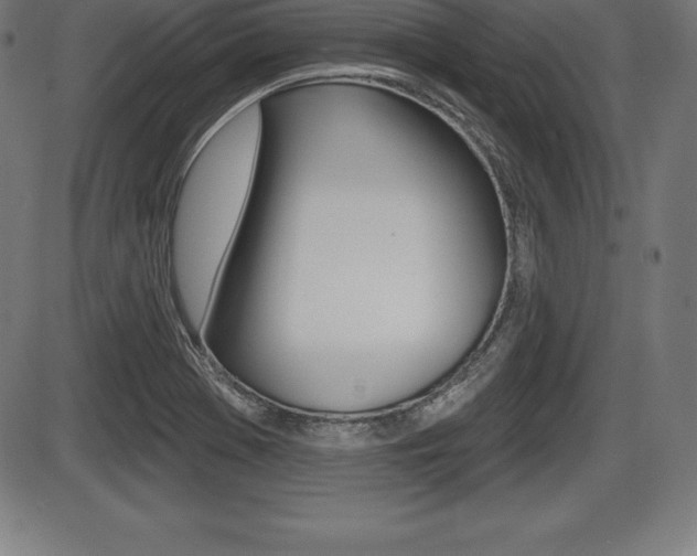 X0000087631369200705030716