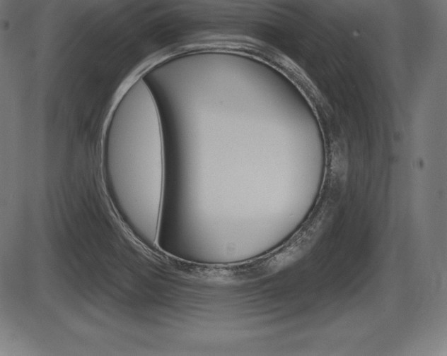 X0000087631370200705030716