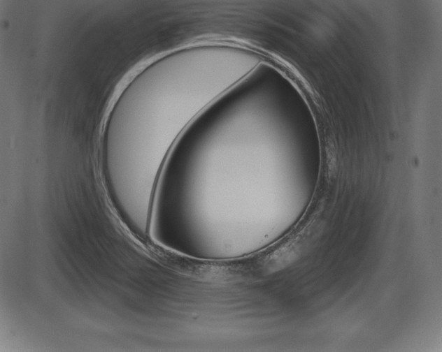 X0000087631371200705030716