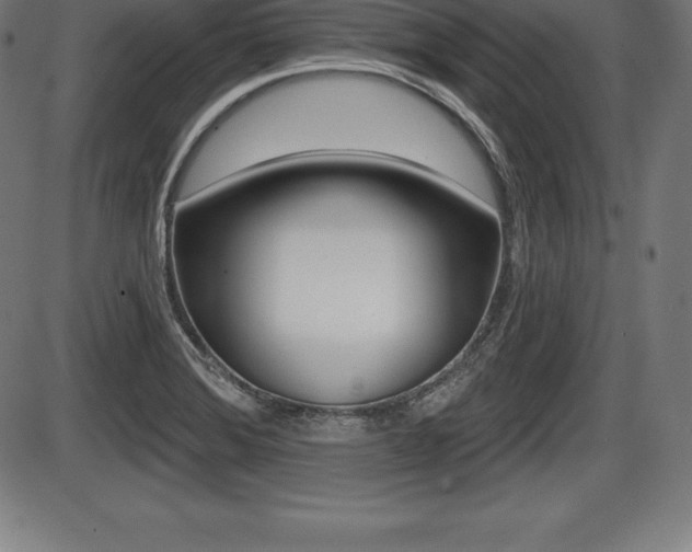 X0000087631372200705030716