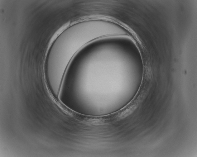 X0000087631373200705030716