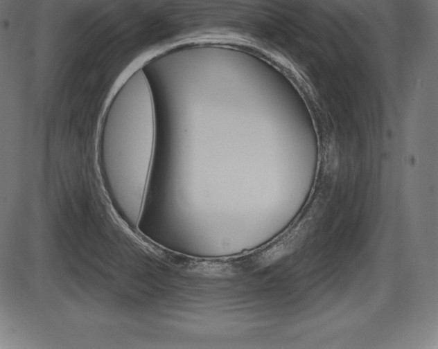 X0000087631374200705030716