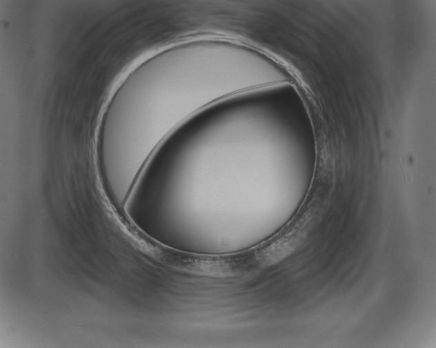 X0000087631375200705030716