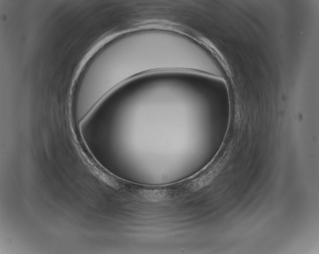 X0000087631376200705030716