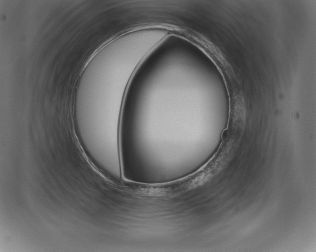 X0000087631377200705030716
