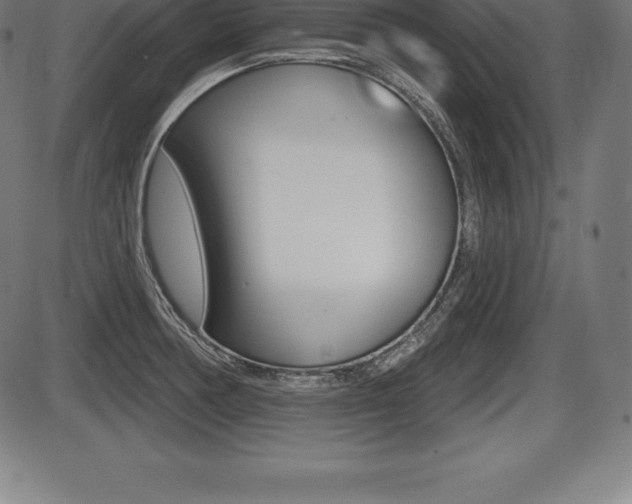 X0000087631378200705030716