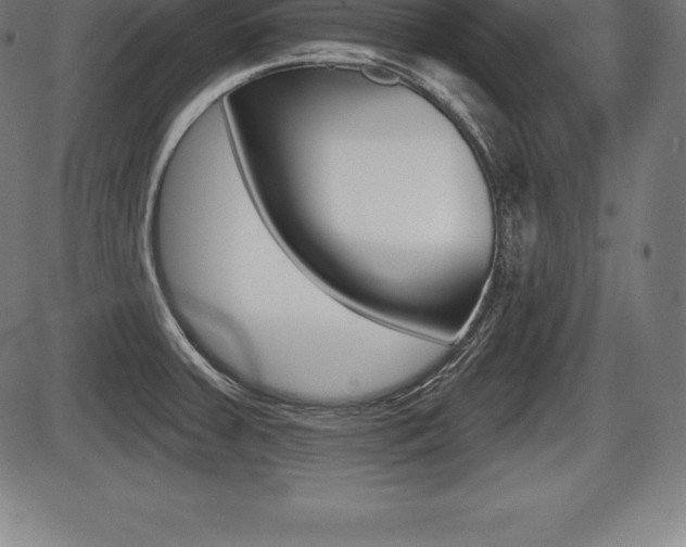 X0000087631379200705030716