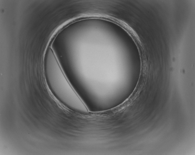 X0000087631380200705030716