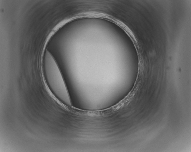 X0000087631381200705030716