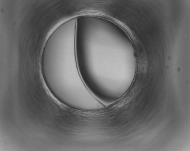 X0000087631383200705030716