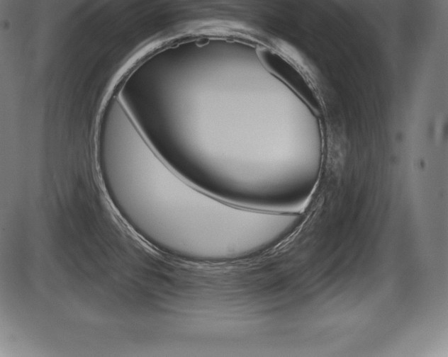 X0000087631384200705030716
