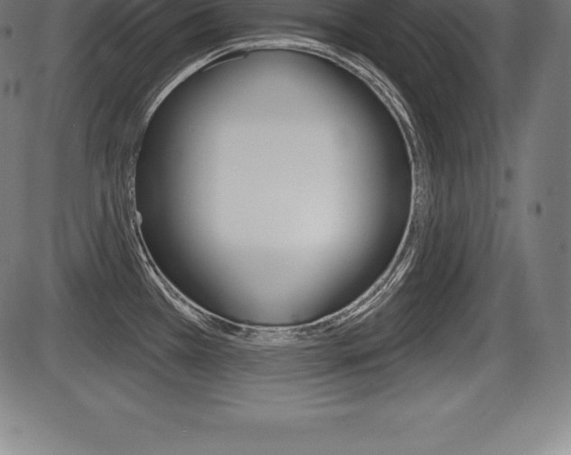 X0000087631385200705030716