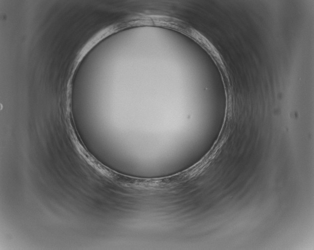 X0000087631386200705030716