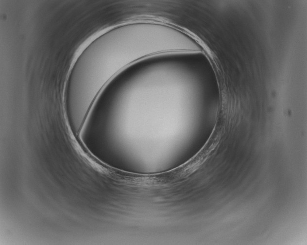 X0000087631387200705030716