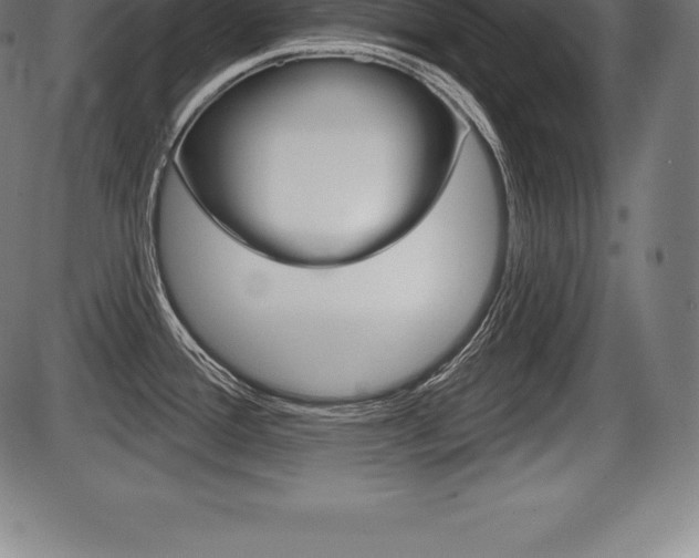X0000087631388200705030716