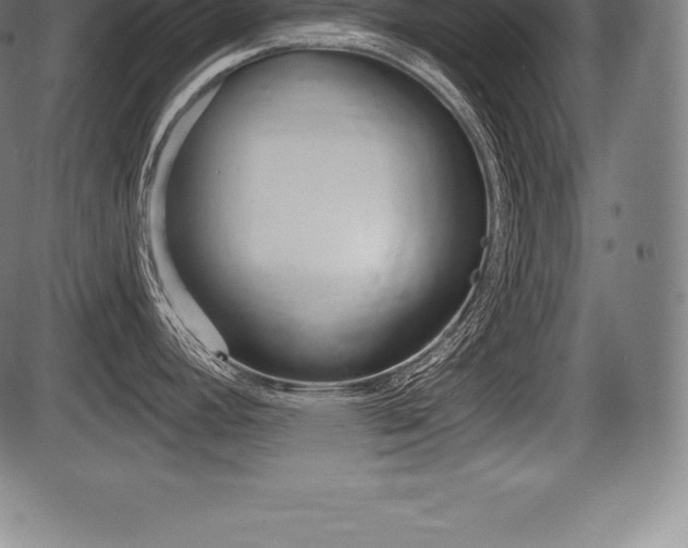 X0000087631392200705030716