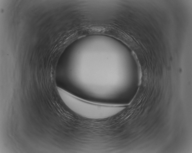 X0000087631394200705030715