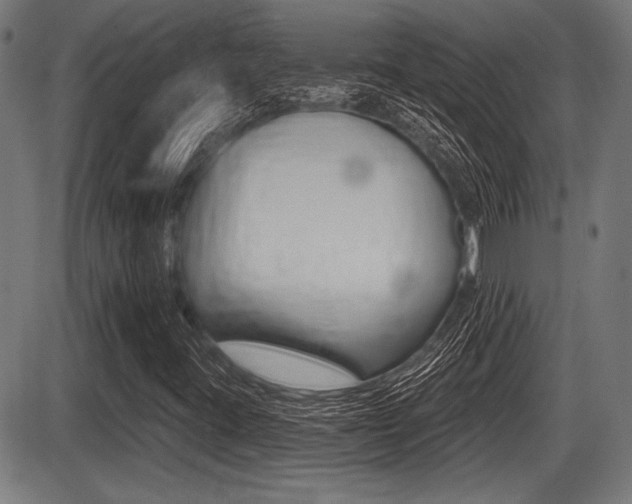 X0000087631395200705030715