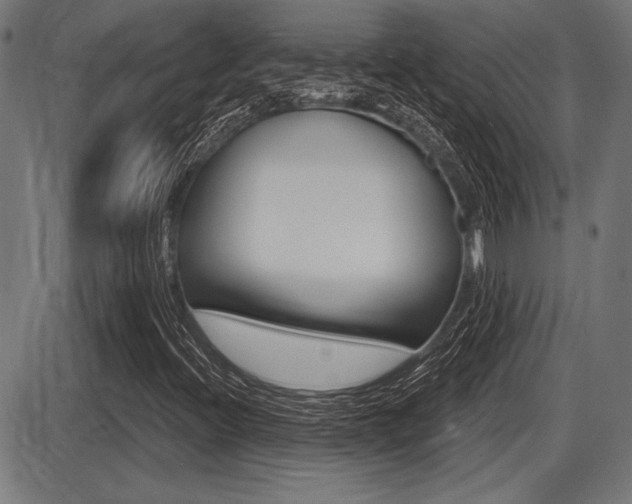 X0000087631396200705030715