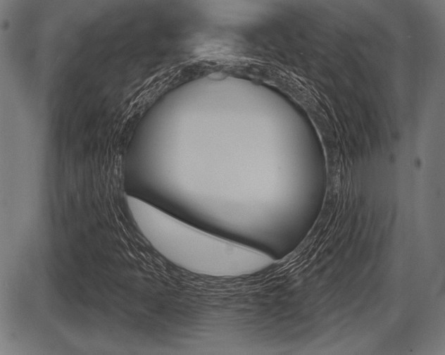 X0000087631397200705030715
