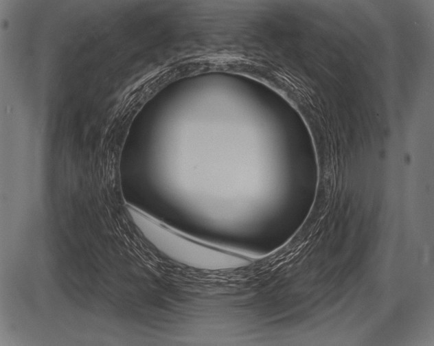 X0000087631398200705030715