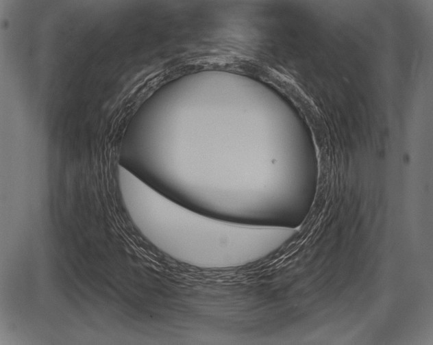 X0000087631399200705030715