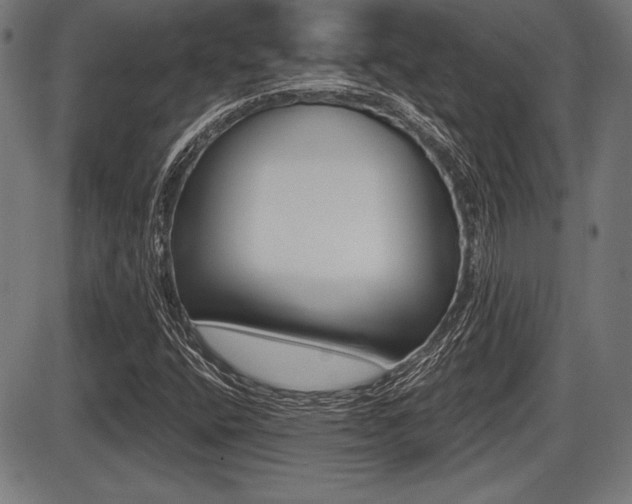 X0000087631400200705030715