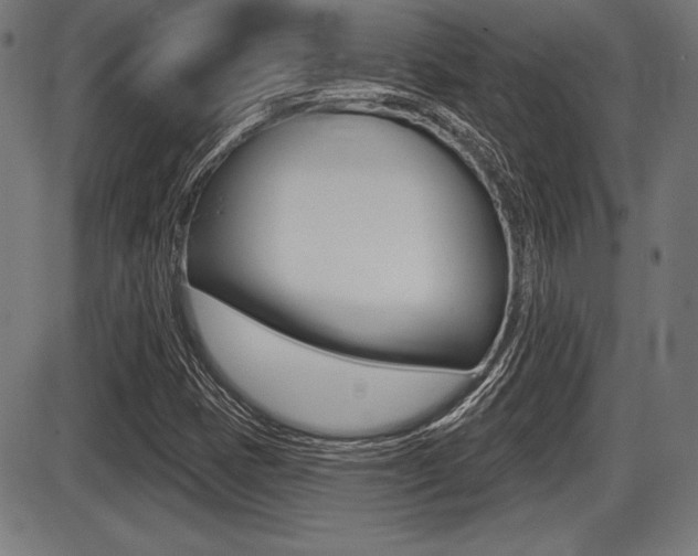 X0000087631401200705030715