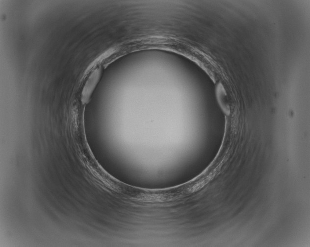 X0000087631402200705030715