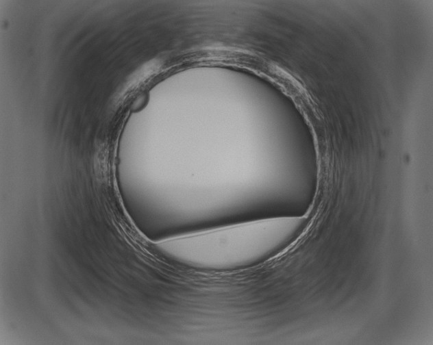 X0000087631403200705030715