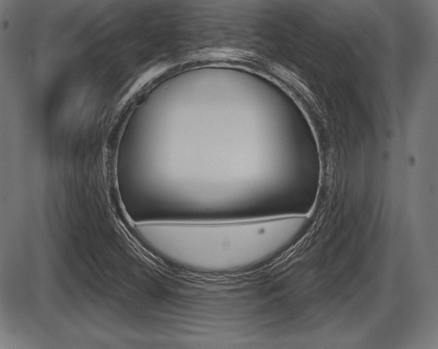 X0000087631404200705030715