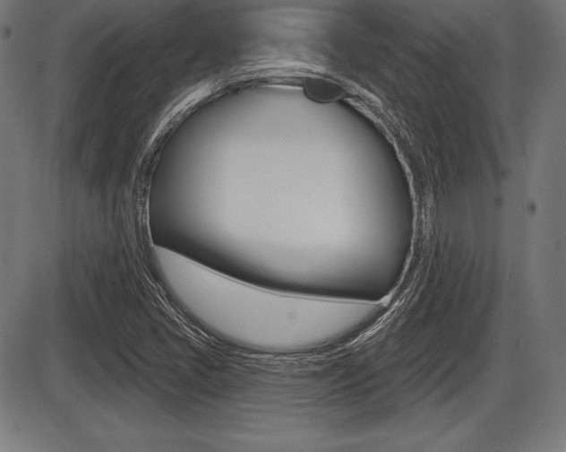 X0000087631405200705030716