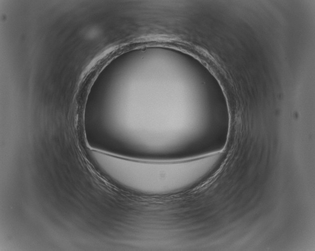 X0000087631406200705030716
