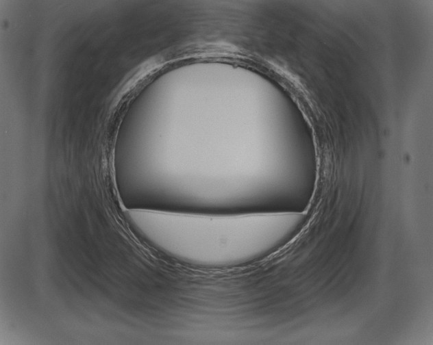 X0000087631407200705030716