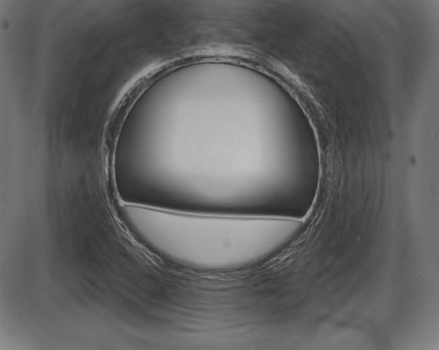 X0000087631408200705030716